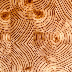 Parquet Douglas en bois de bout – Résistant, naturel et élégant