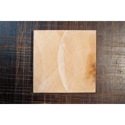PROMO : Pavés en Bois de Charme – 10 x 10 cm